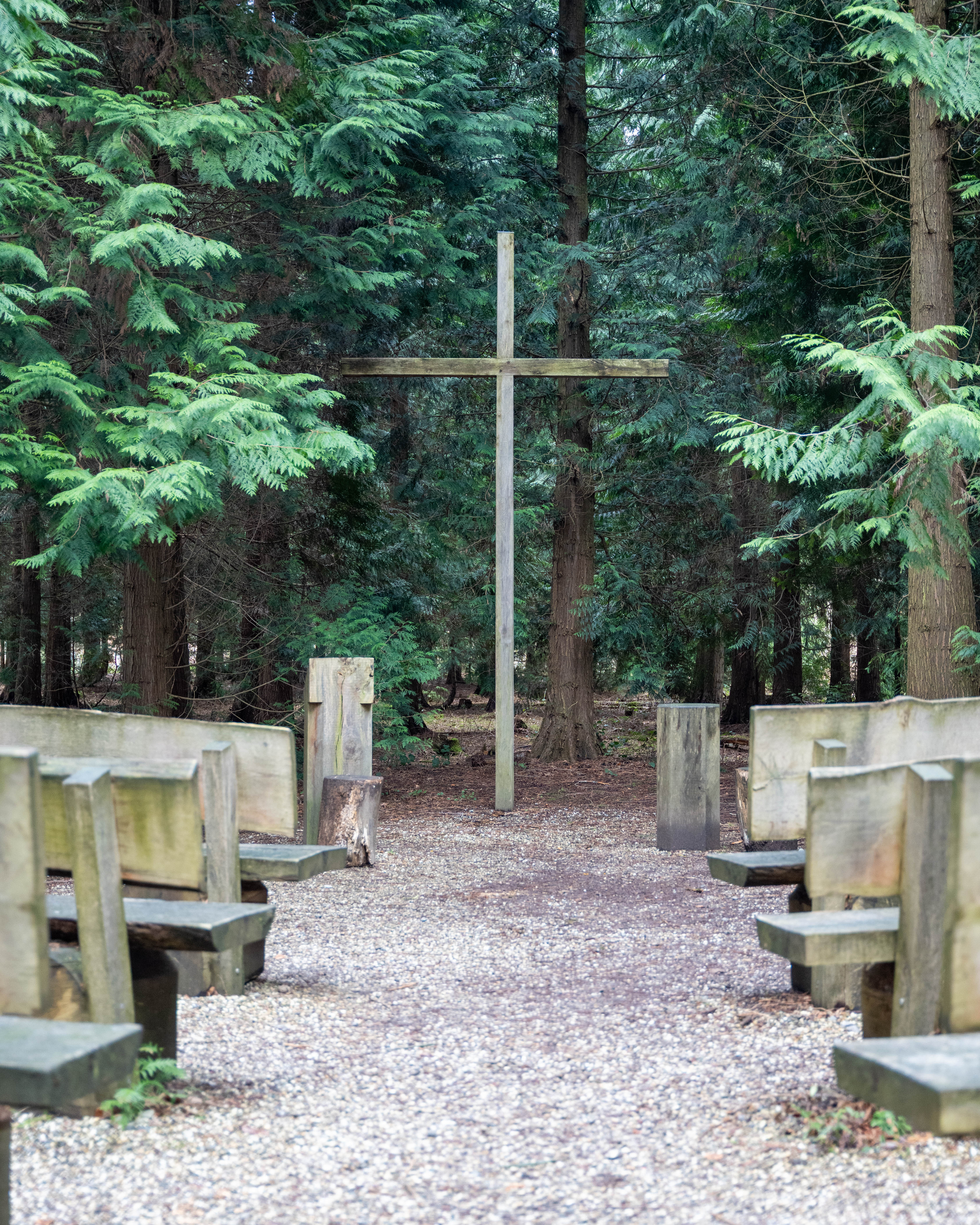 Waldruhestätte Meerbusch naturnahe Ruhestätte für Waldbestattungen nahe Düsseldorf
