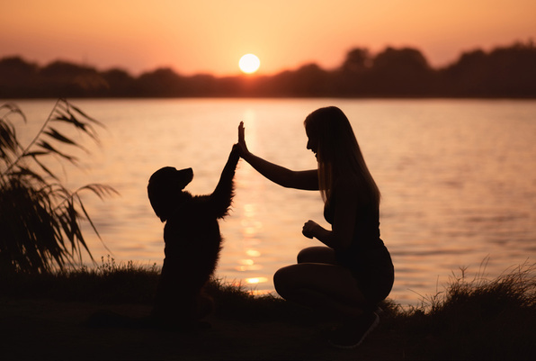 Mensch und Hund als Silhouette bei Sonnenuntergang